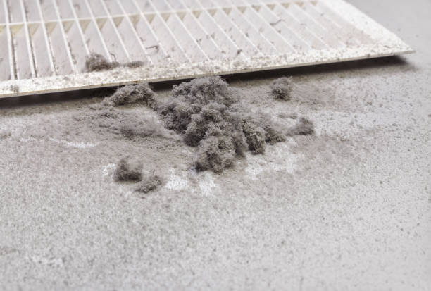 Best Dryer Vent Cleaning Services  in Fishhook, AK