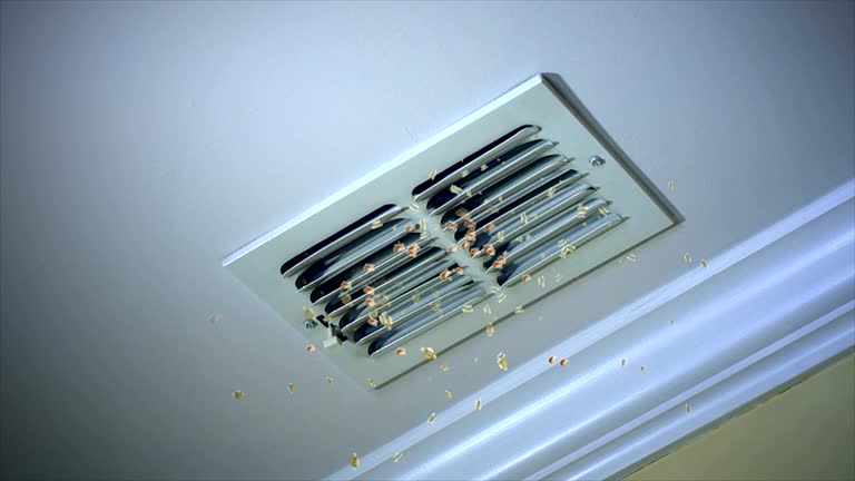 Best Ventilation Cleaning Services  in Fishhook, AK
